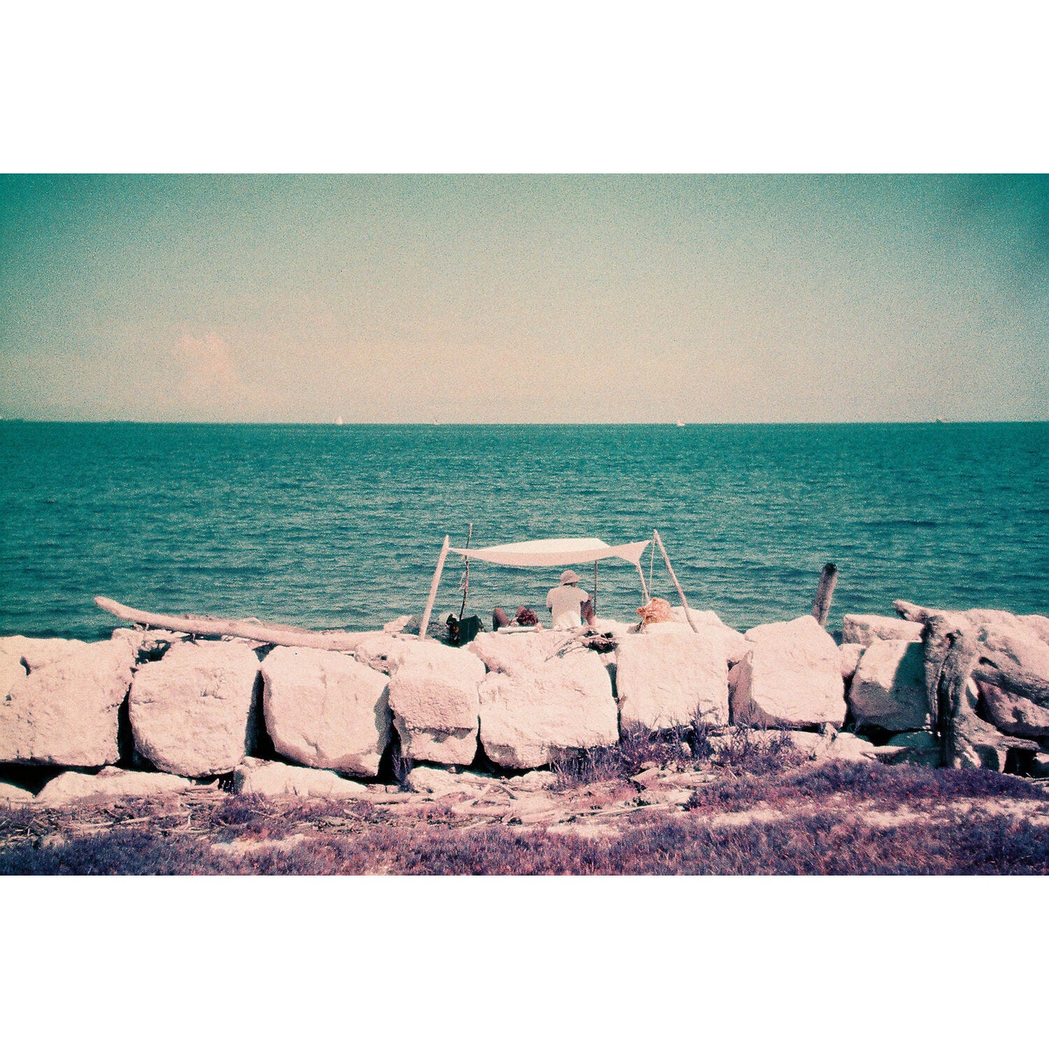 Lomography 110 ISO 100-400 - LomoChrome Purple