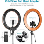 NEEWER 48cm Ring Light with Phone Holder and Light Stand