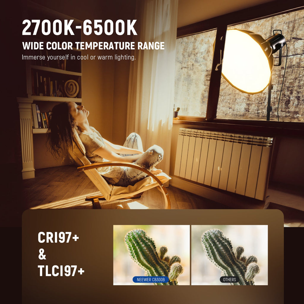 NEEWER C300B Bi-Color Video Light with App Control