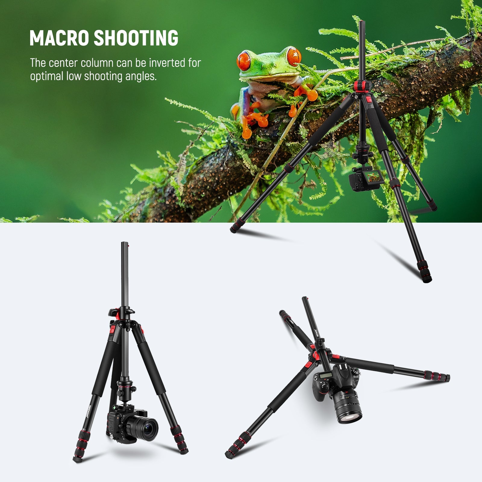 NEEWER N284+GO Tripod Kit