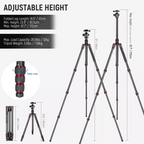 NEEWER N55C Carbon Fiber Tripod Kit