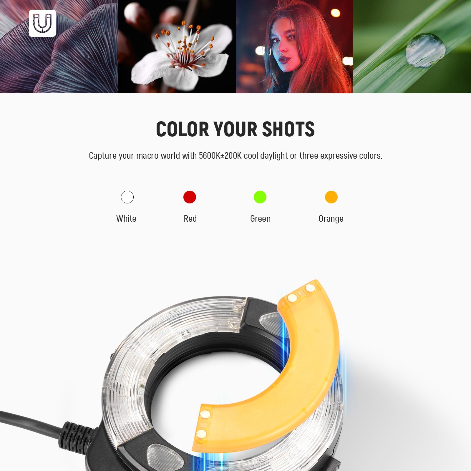 NEEWER RF1-C Ring Flash Light - Canon