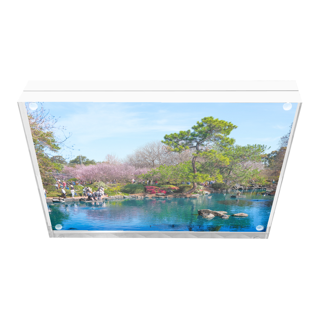 6x8" Acrylic Photo Frame with Print