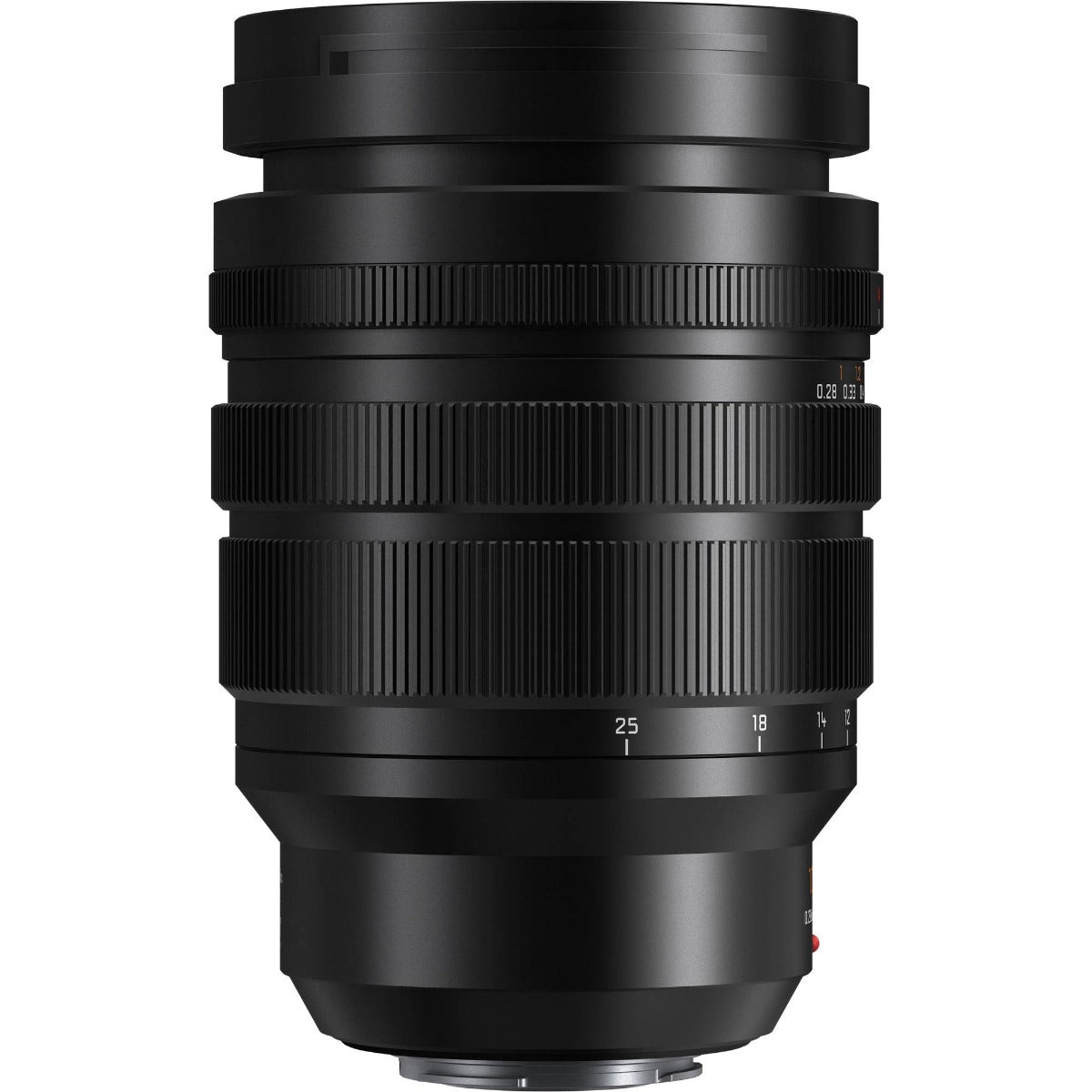 Panasonic Leica DG Elmarit 10-25mm f/1.7 Lens