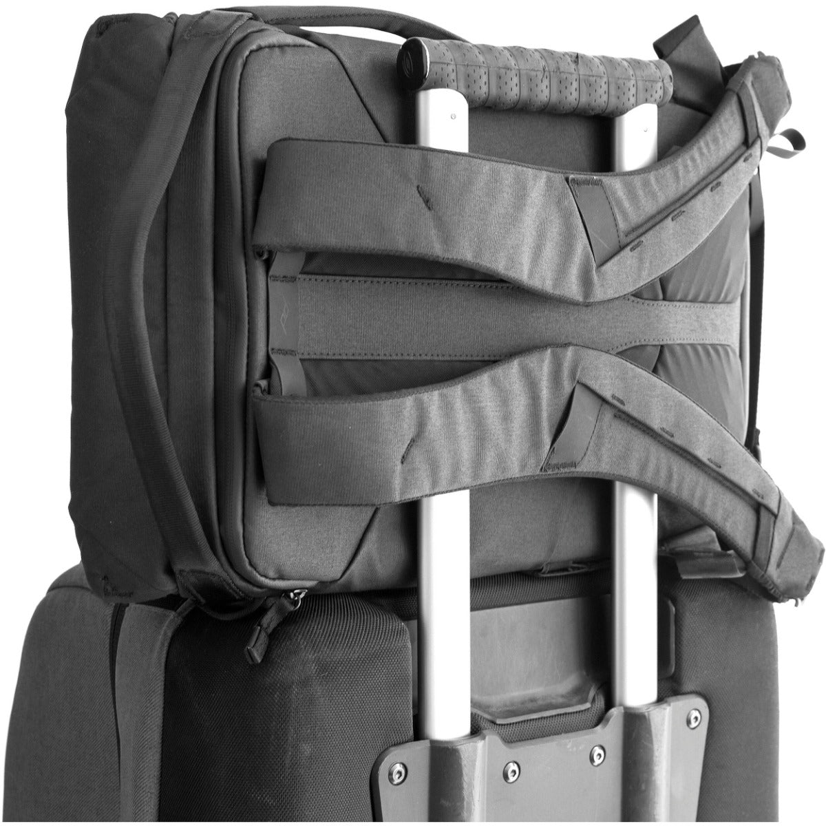 Peak Design Everyday Backpack 20LV2