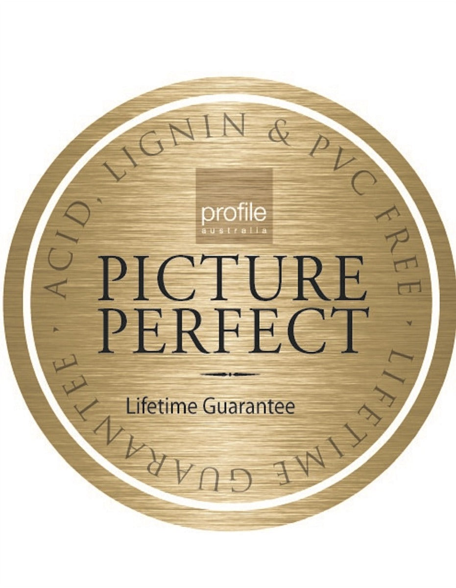 Profile Regal Black Photo Album Slip-in Holds 300 4x6 Photos