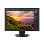 Eizo Coloredge CS2400S 24" LED Monitor 