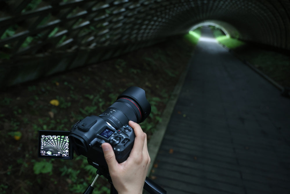 Canon RF 24mm f/1.4L VCM Lens