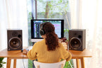 Sony FE 24-50mm f/2.8 G Lens