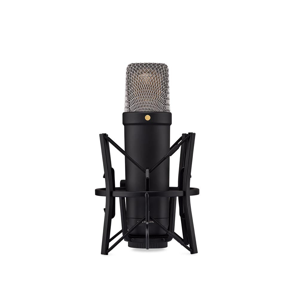Rode NT1 5th Generation Hybrid Microphone (Black)