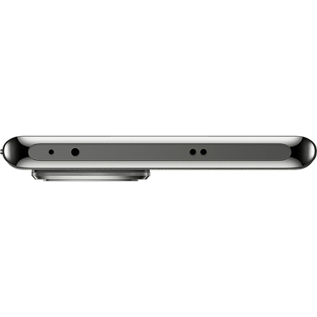 OPPO Reno 10 (Silver Grey)  