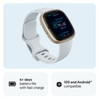 Fitbit Sense 2 Smart Watch - Blue Mist/Pale Gold