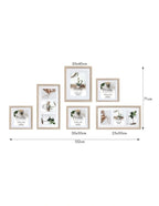 Deluxe Gallery Photo Wall Frame Set A - 6 Frames - Polar Birch