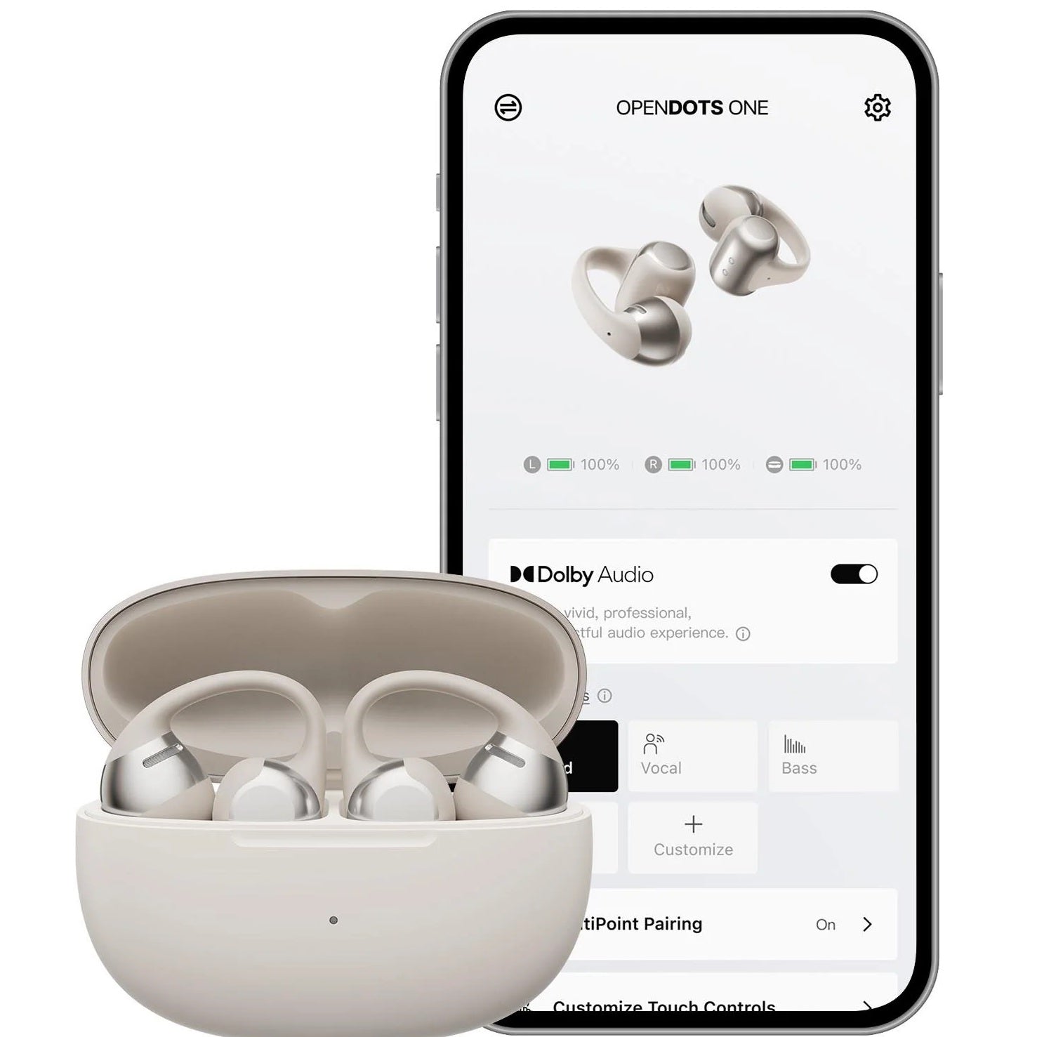 Shokz OpenDots One Open-Ear TWS Earbuds (Grey)