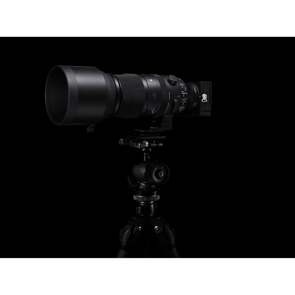 Sigma 150-600mm f/5-6.3 DG DN OS Sports Lens for Sony E