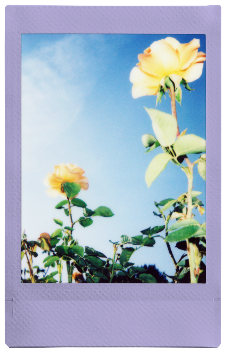 Fujifilm INSTAX Soft Lavender Film 10 Pack 