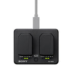 Sony BC-SAD1 Dual Charger with 2x NP-SA100 Batteries Bundle