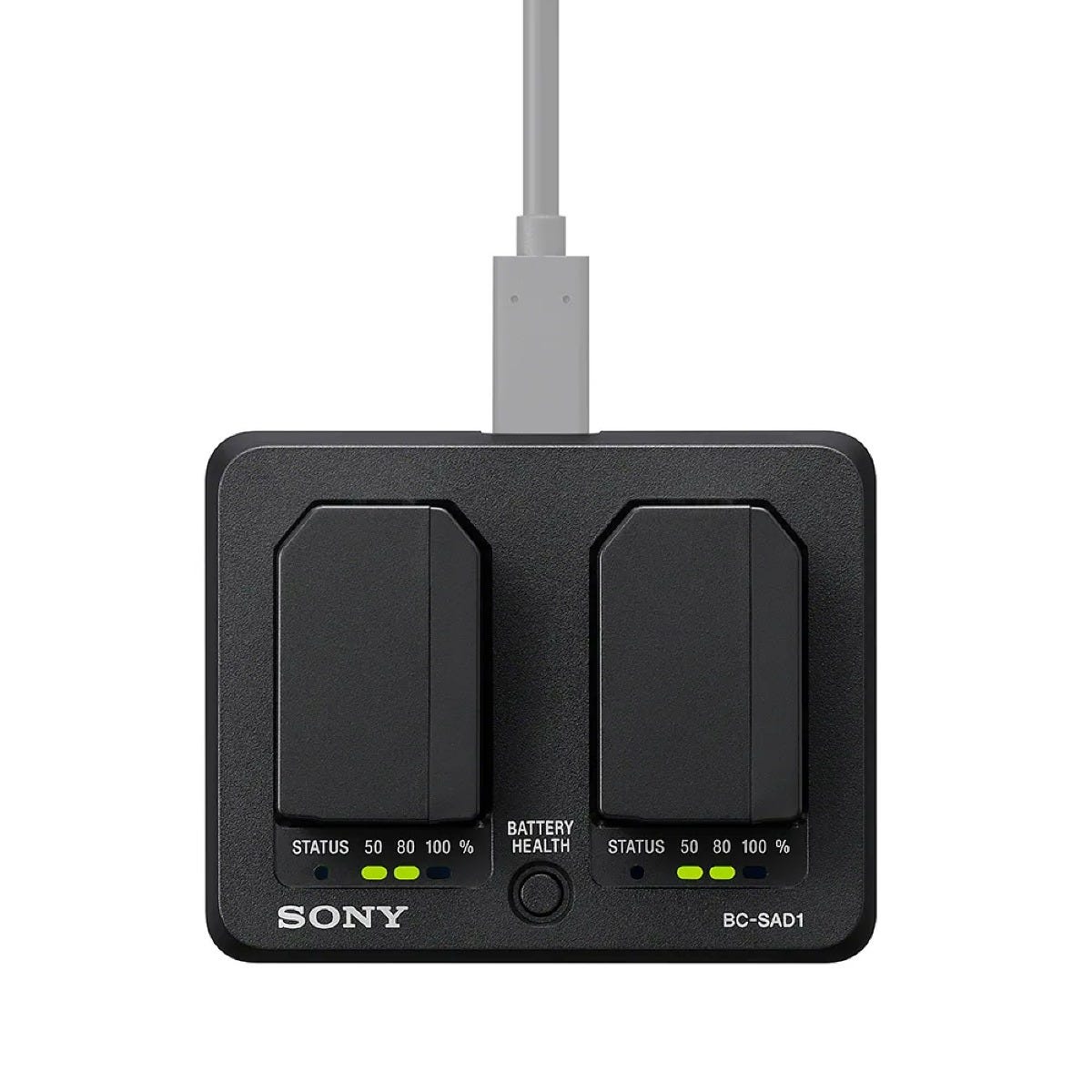 Sony BC-SAD1 Dual Charger with 2x NP-SA100 Batteries Bundle