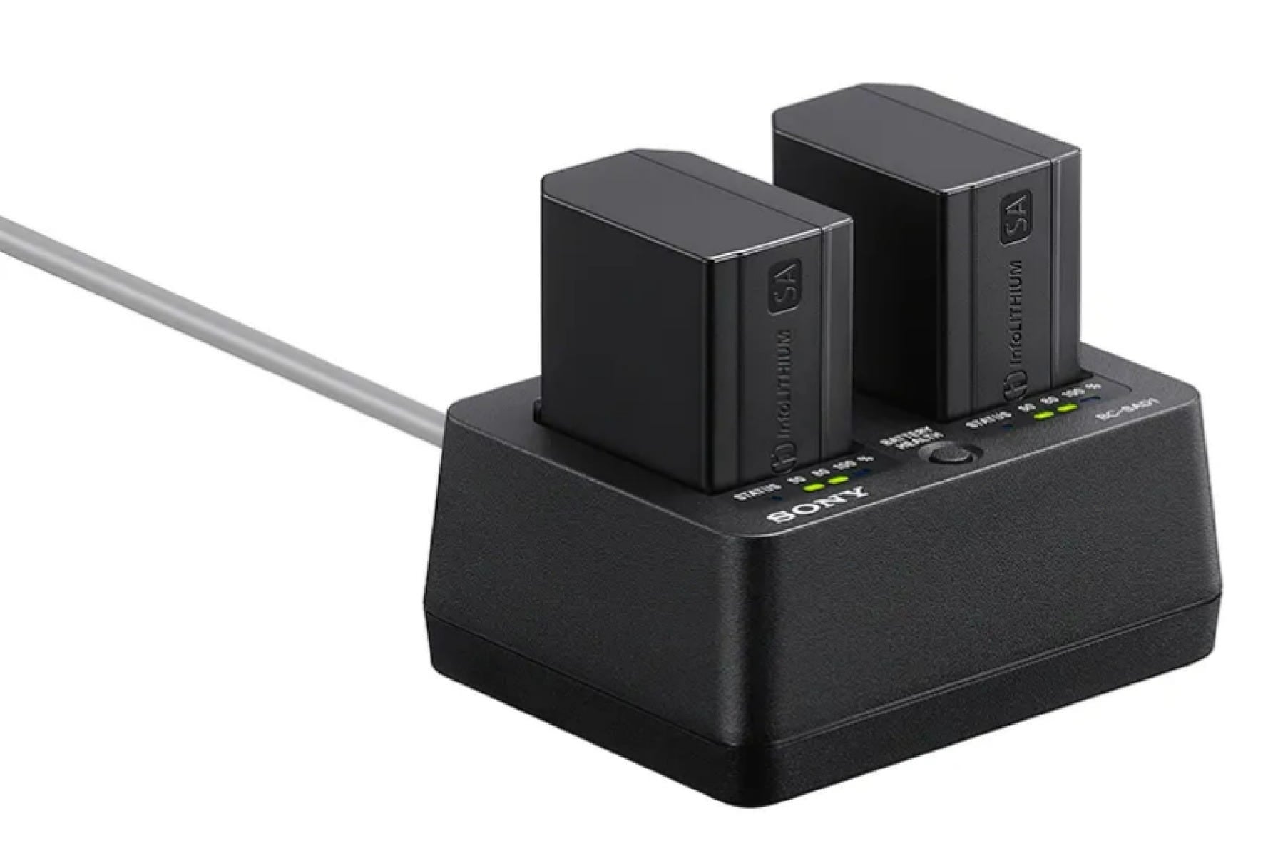 Sony BC-SAD1 Dual Charger with 2x NP-SA100 Batteries Bundle