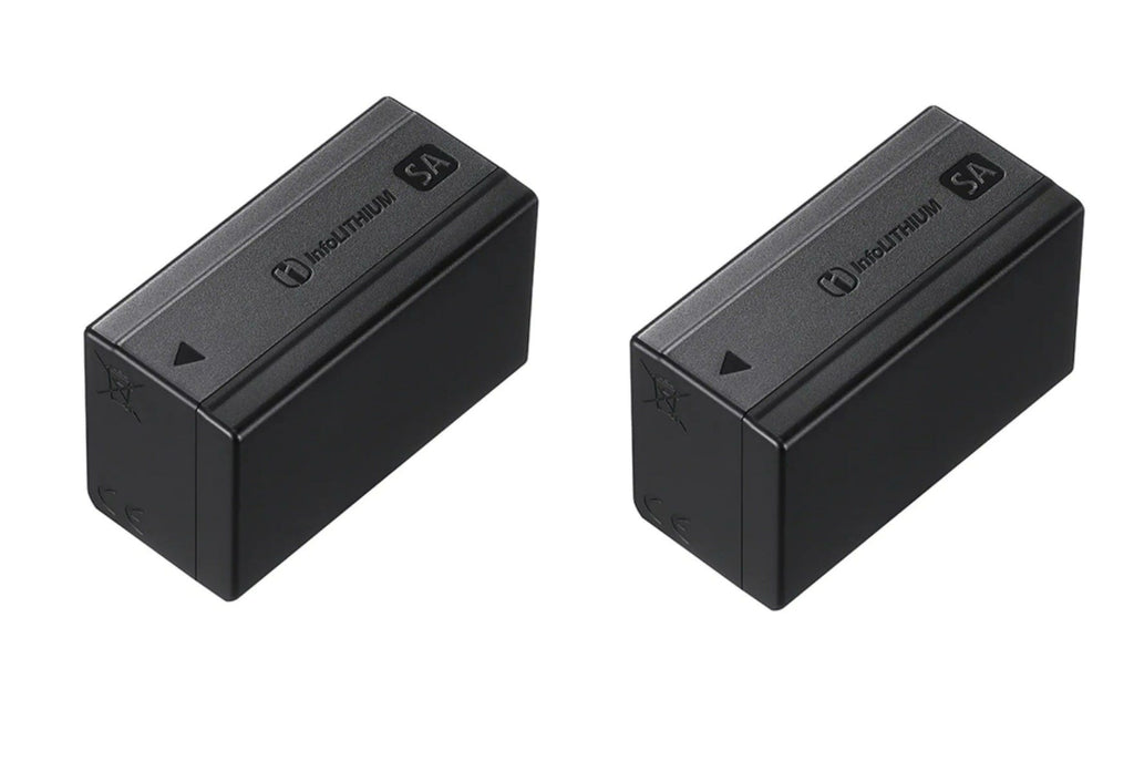 Sony BC-SAD1 Dual Charger with 2x NP-SA100 Batteries Bundle