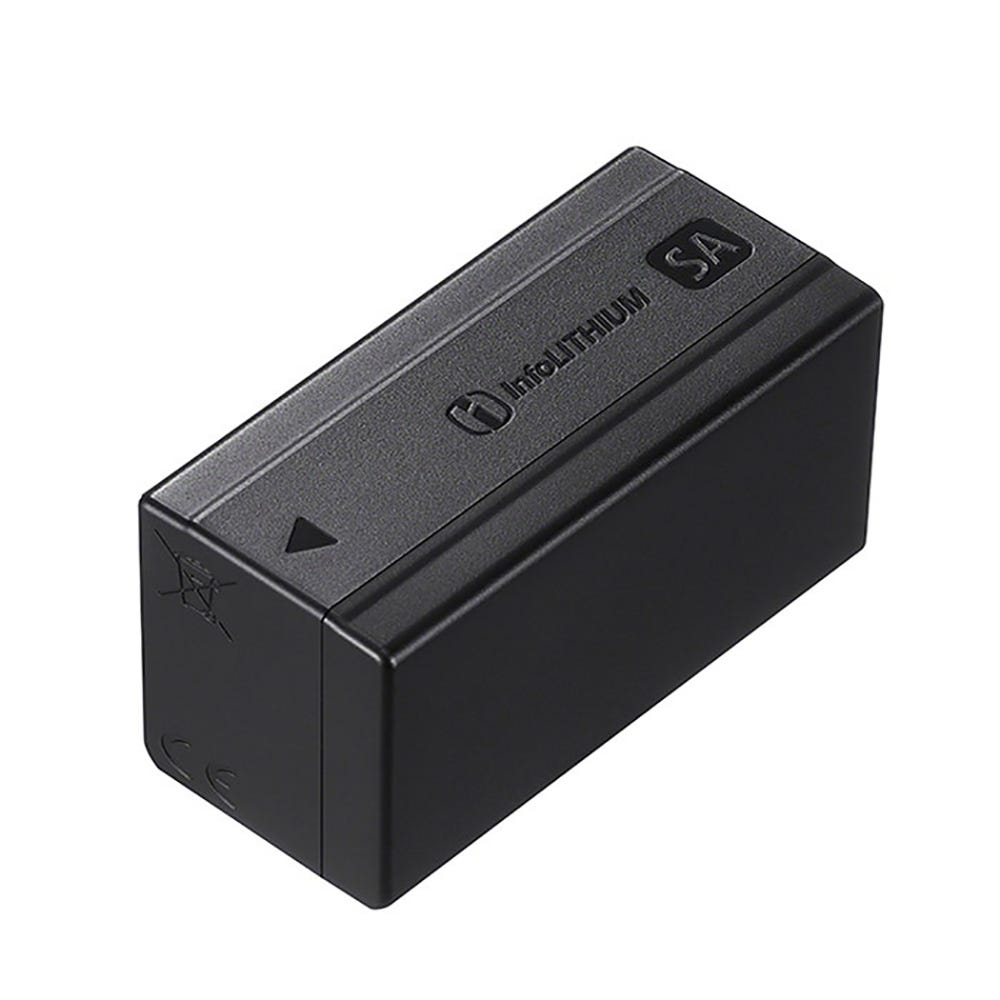 Sony BC-SAD1 Dual Charger with 2x NP-SA100 Batteries Bundle