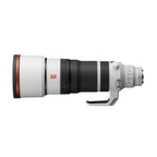 Sony FE 100-400mm f/4.5 GM OSS Lens