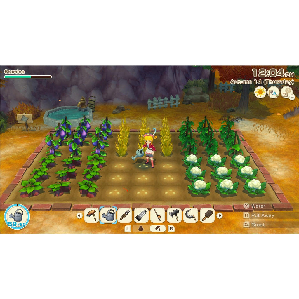 STORY OF SEASONS Grand Bazaar - Nintendo Switch 2 Edition