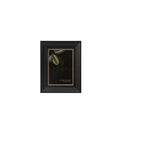 UR1 Tilly Wide Walnut Scoop 5x7"