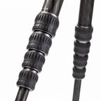 Benro Tortoise 24C Carbon Fibre Tripod Legs - 4 Section