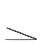 Twelve South Curve Nano (Slate)