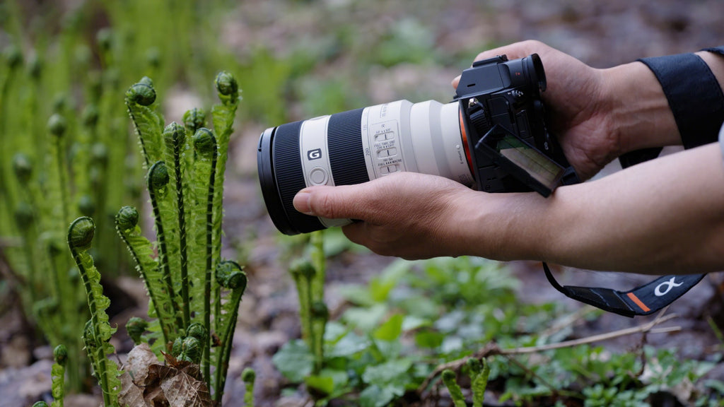 Sony FE 70-200mm f/4 Macro G II OSS Lens