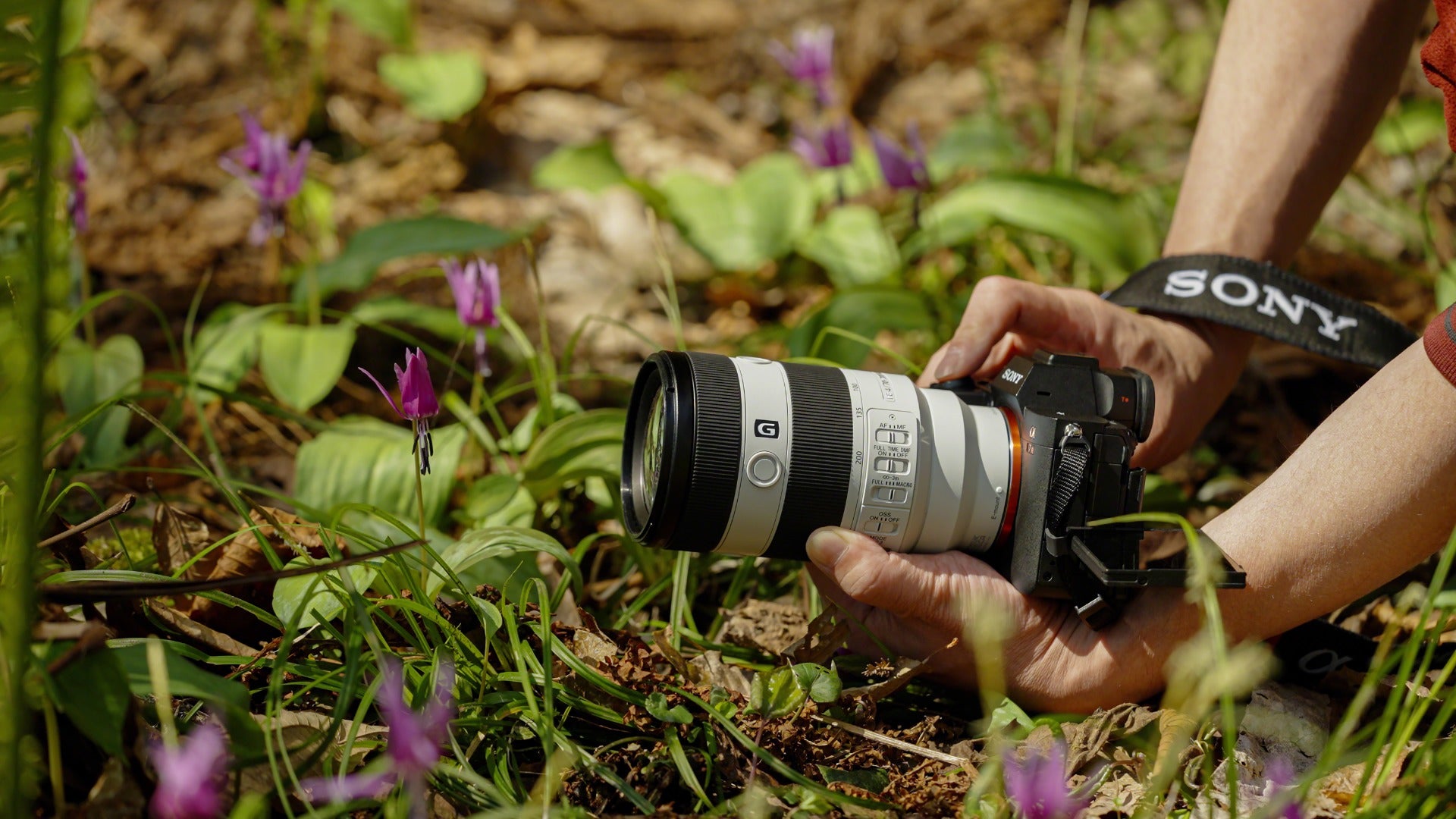 Sony FE 70-200mm f/4 Macro G II OSS Lens