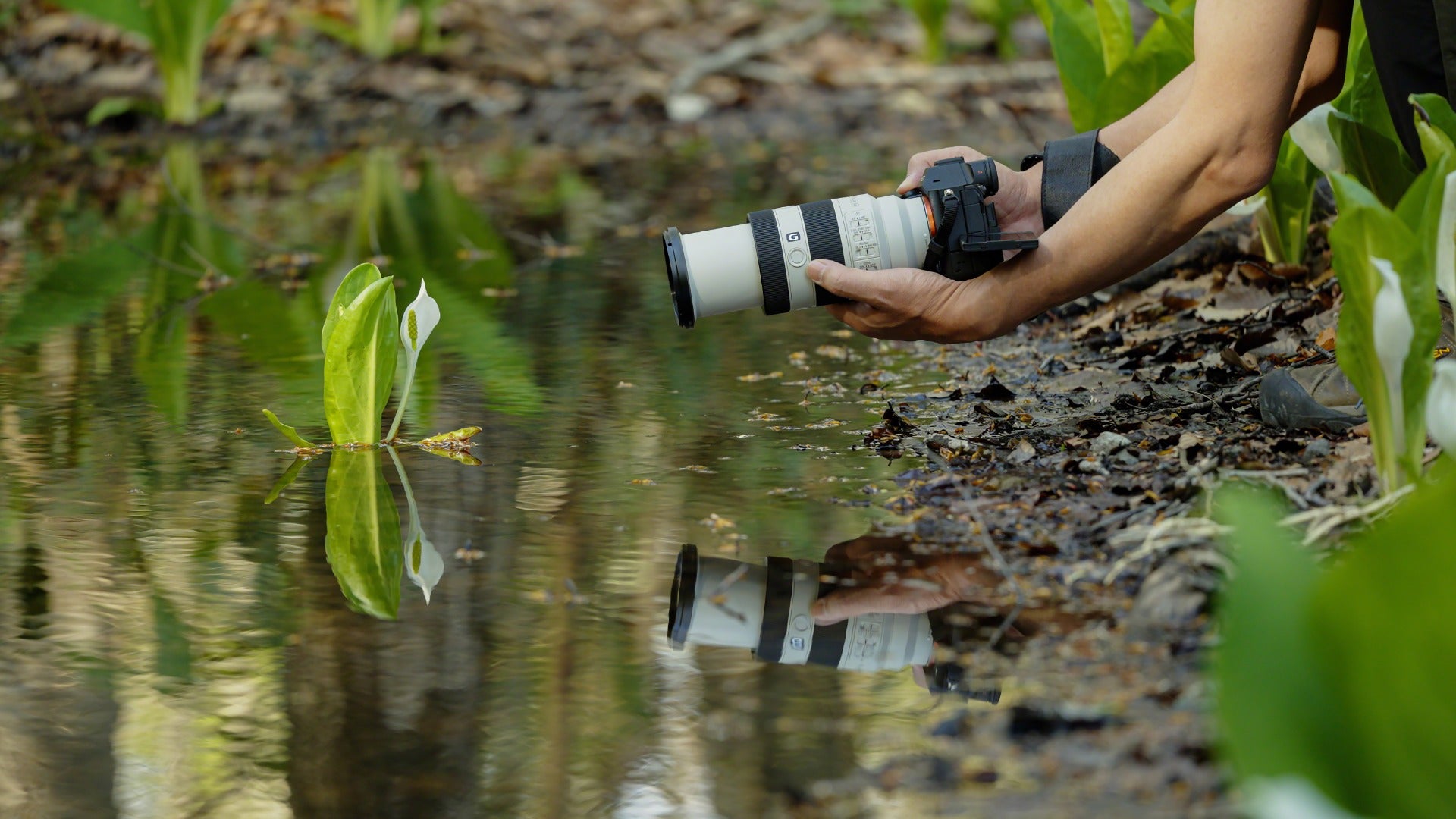 Sony FE 70-200mm f/4 Macro G II OSS Lens