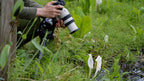 Sony FE 70-200mm f/4 Macro G II OSS Lens