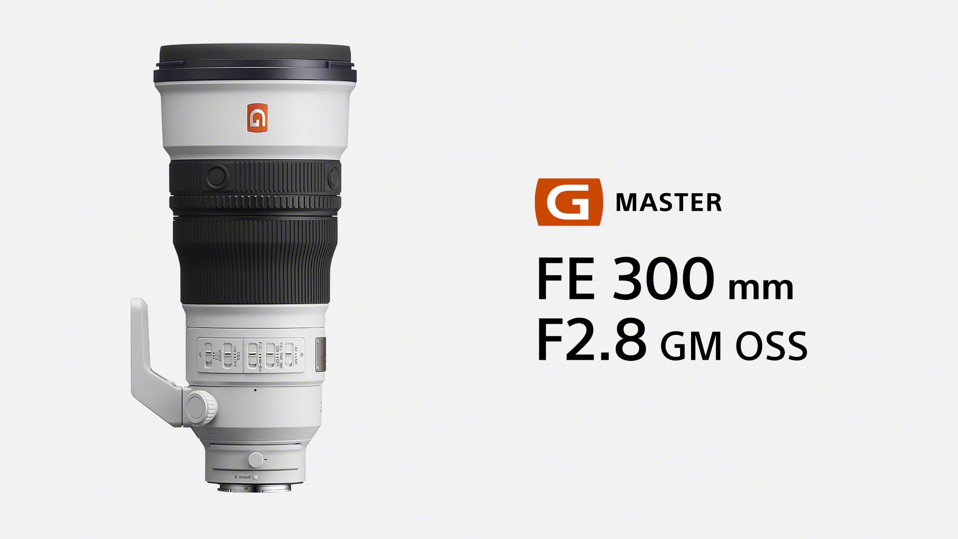 Sony FE 300mm f/2.8 OSS GM Lens