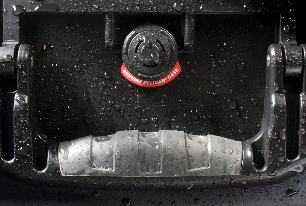 Pelican 1660 Case - Black without Foam