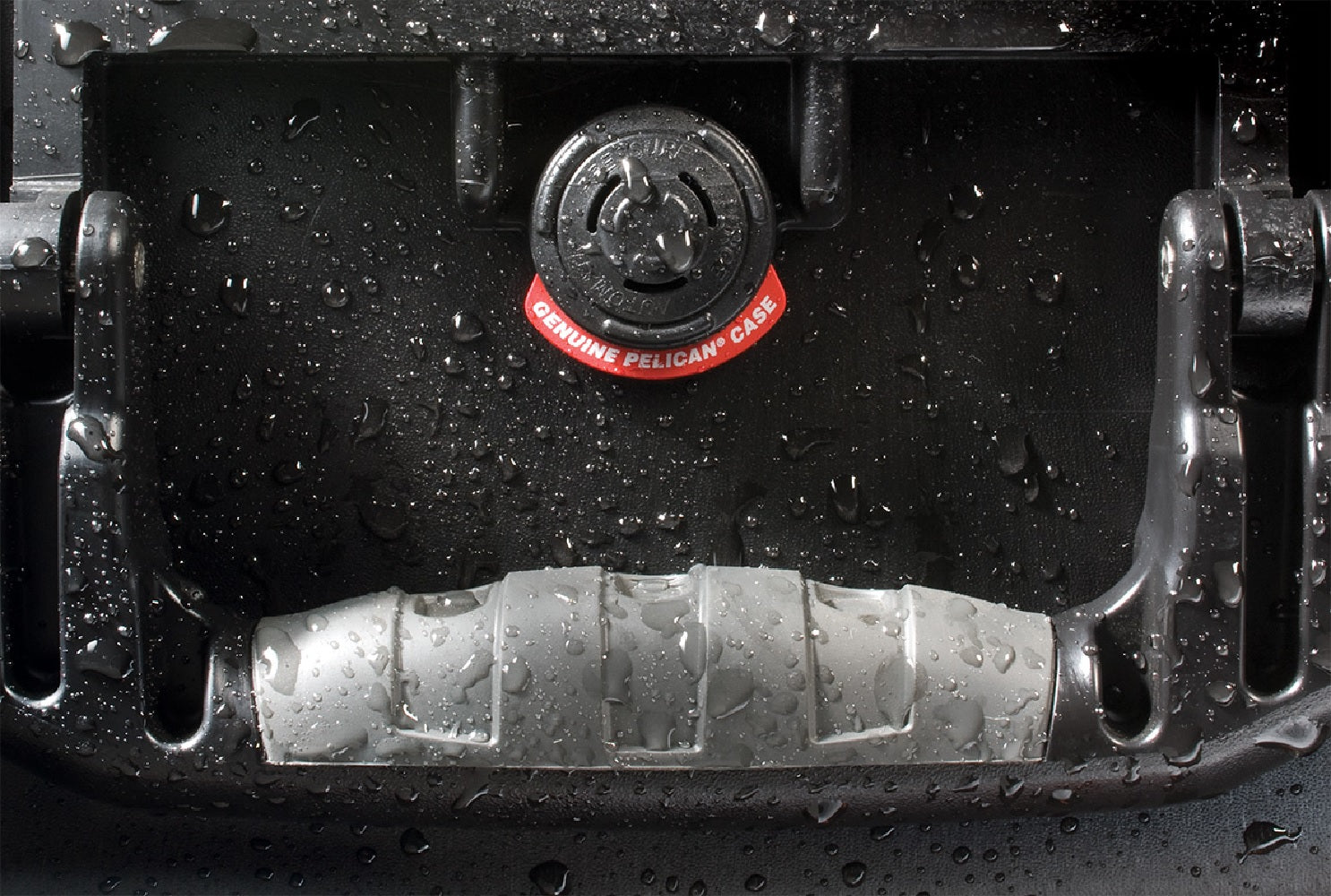 Pelican 1660 Case - Black without Foam