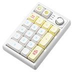 YUNZII YZ19 Mechanical Number Pad (Macaron) (Gateron Brown Switch)