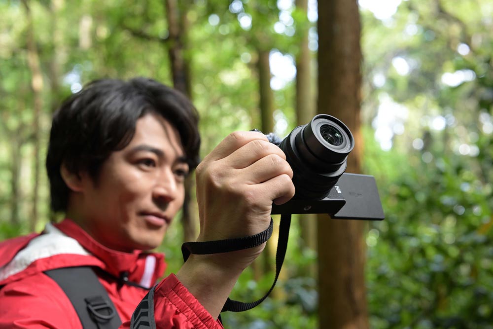 Nikon Z 30 + NIKKOR 16-50mm VR Lens Kit