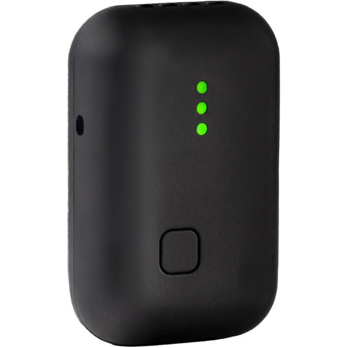 Zoom Instamic Pro Plus C Mono/Stereo