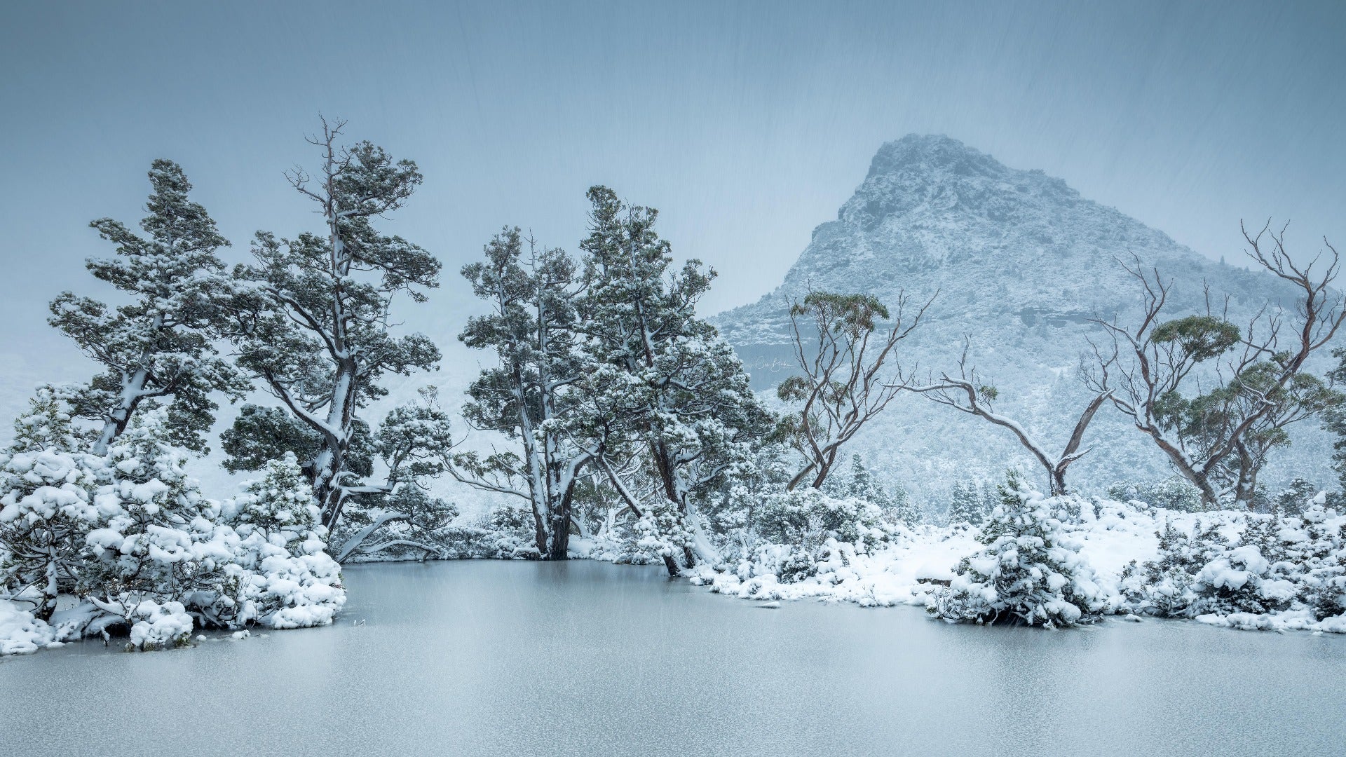 Artists Pool, Cradle Mountain. ┬®Cam Blake