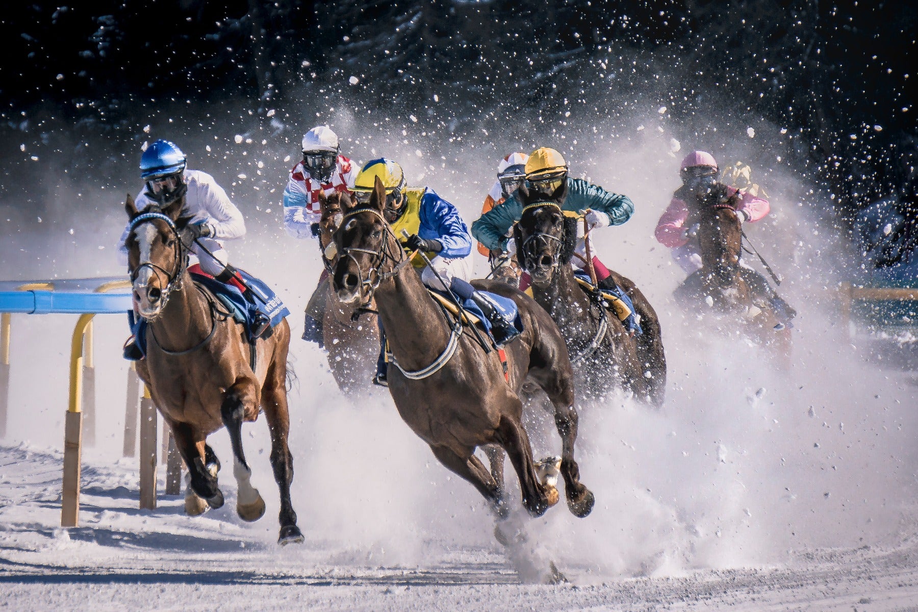 Horse racing with fast shutter speed