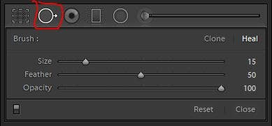 Adobe Lightroom - Spot Removal Tool