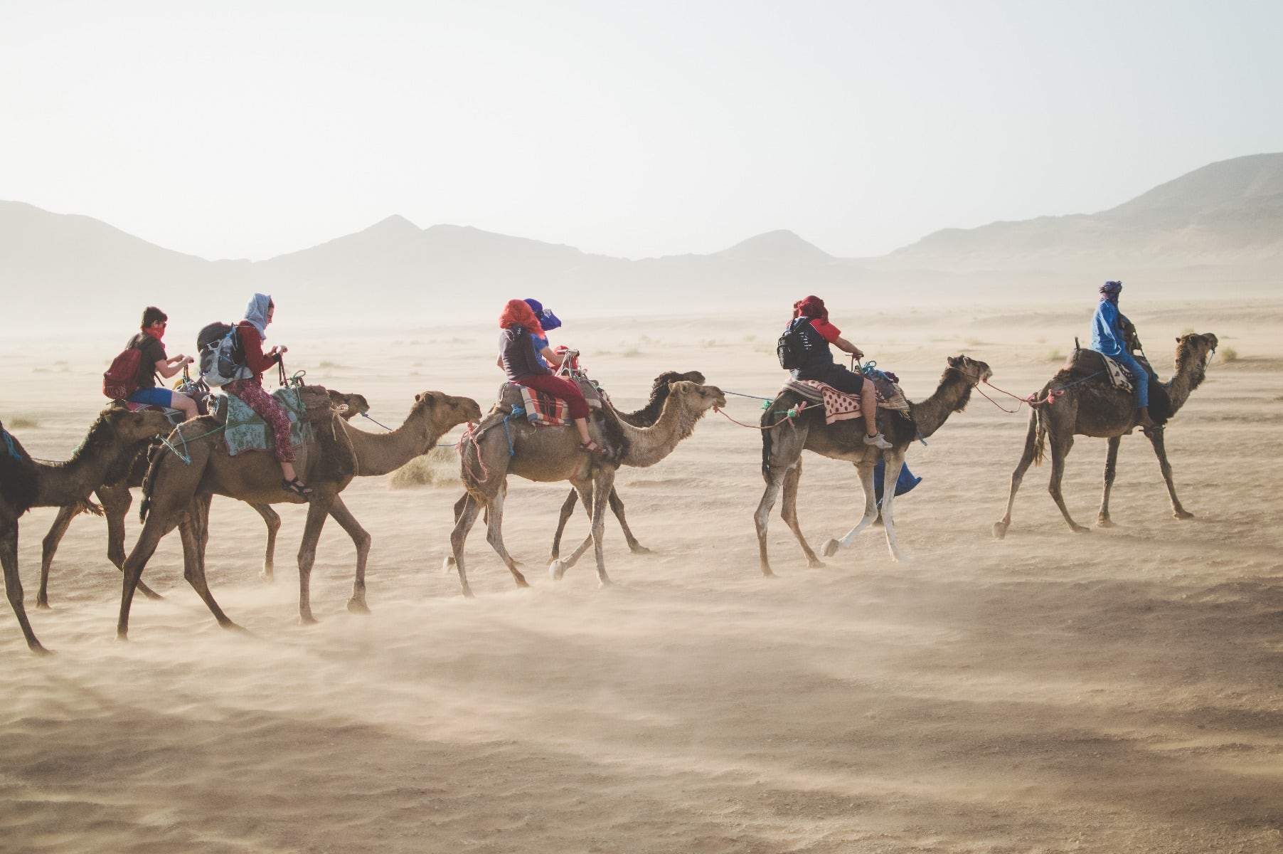 Camel riding in the desert