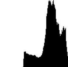 Overexposed histogram