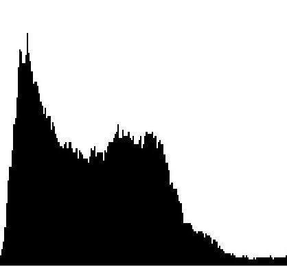 Histogram of underexposed image