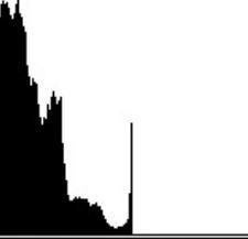 Clipped histogram