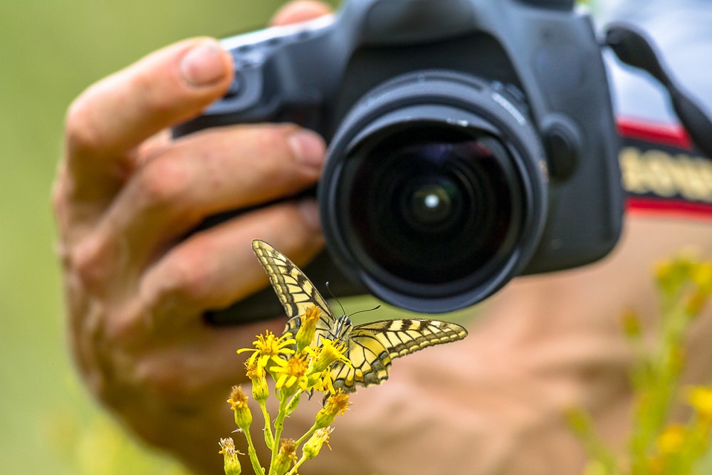 Shooting macro by hand