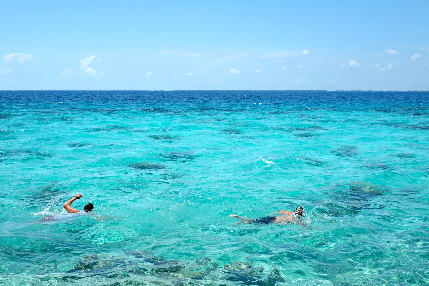 People swimming in the ocean at noon