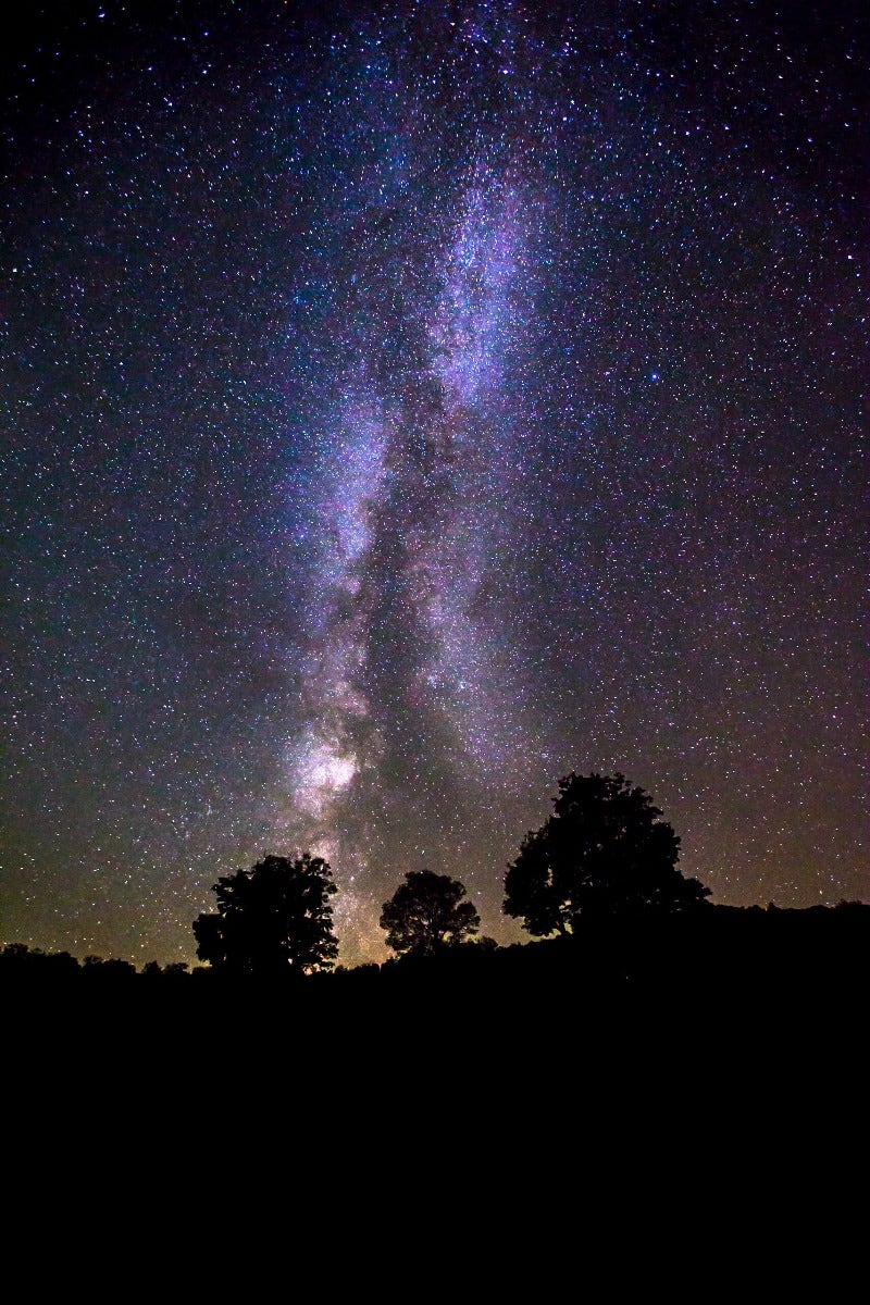 The Milky Way galaxy behind trees